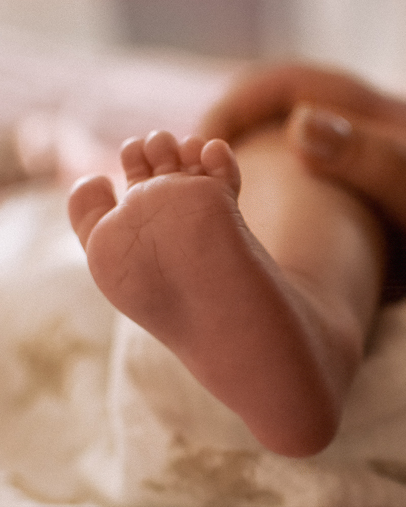 Familienfotografie, Schwangerschaftsfotografie, Newbornfotografie, Pärchenfotografie in Berlin